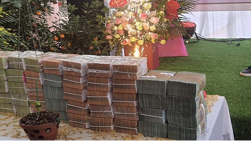 Giá lan đột biến ngày càng cao cộng thêm một số 'gương' làm giàu nhanh chóng từ hoa lan khiến nhiều người càng 'phát sốt' lao vào đầu tư. Giá lan đột biến ngày càng cao cộng thêm một số 'gương' làm giàu nhanh chóng từ hoa lan khiến nhiều người càng 'phát sốt' lao vào đầu tư.