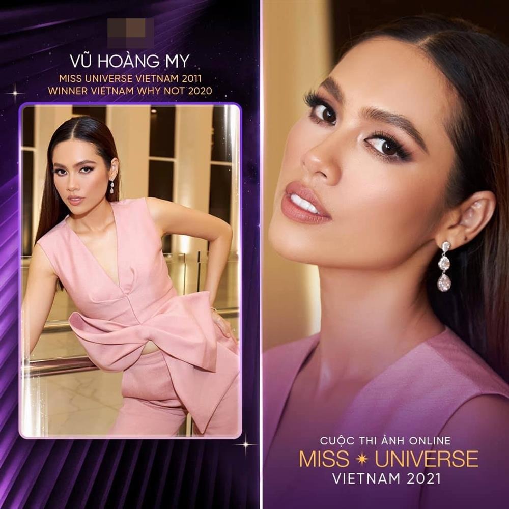 Hoàng My từng đoạt giải Á hậu 1 Hoa hậu Việt Nam 2010. Năm 2011, cô đại diện Việt Nam thi Miss Universe - Hoa hậu Hoàn vũ Thế giới. Năm 2012, Hoàng My tiếp tục được 'chọn mặt gửi vàng' tại Miss World - Hoa hậu Thế giới.