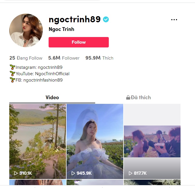 Trong các nghệ sĩ, Ngọc Trinh là người thường xuyên tương tác trên trên MXH Tiktok nhất, vì thế cô nàng có lượt theo dõi khiến nhiều người mơ ước.