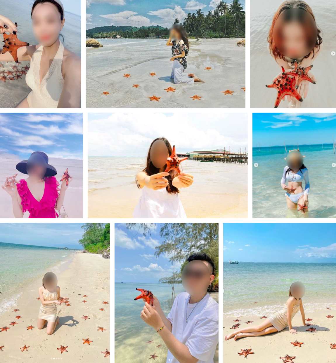 Việc nhấc sao biển ra khỏi mặt nước có thể khiến chúng đi ngay lập tức vì không thích nghi được môi trường sống mới hoặc do tác động từ bàn tay con người. Ảnh: FB