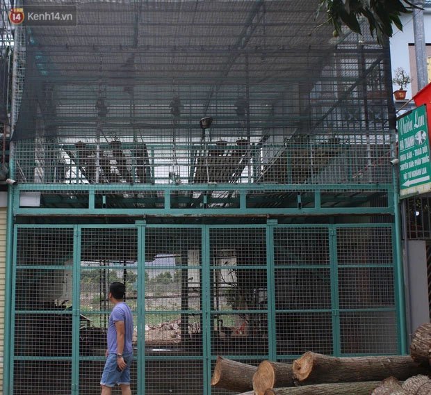 Vườn lan Hà Thanh có quy mô khá lớn tại địa phương. Ảnh: Kenh14 Vườn lan Hà Thanh có quy mô khá lớn tại địa phương. Ảnh: Kenh14