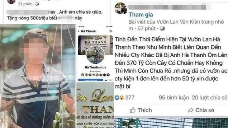 Vườn lan Hà Thanh kinh doanh hoa lan theo kiểu hộ gia đình và đã hoạt động được một thời gian dài. Ảnh: FB Vườn lan Hà Thanh kinh doanh hoa lan theo kiểu hộ gia đình và đã hoạt động được một thời gian dài. Ảnh: FB