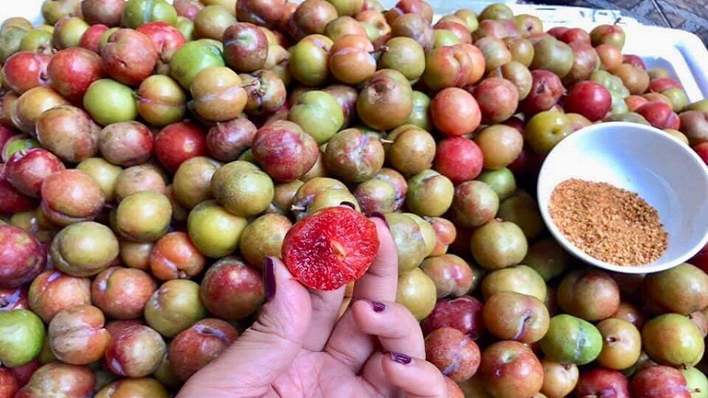 Mận đầu mùa giá giảm còn 150.000 đồng/kg nhưng vẫn ế khách. Ảnh minh hoạ