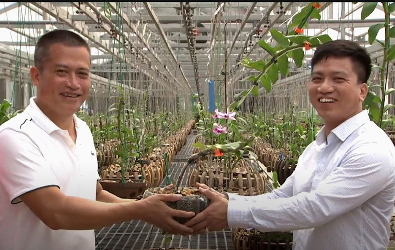 2 đại gia trong làng sinh vật cảnh trao đổi cây quý lấy lan hiếm. Ảnh: FB