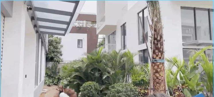 Ngọc Trinh đổi phong thuỷ căn biệt thự 50 tỷ sau vụ mất trộm BST đồng hồ triệu đô Ngọc Trinh đổi phong thuỷ căn biệt thự 50 tỷ sau vụ mất trộm BST đồng hồ triệu đô