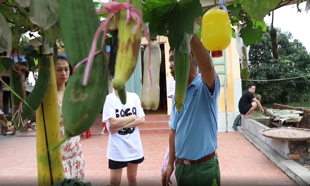 Nhìn chiếc xe có giàn mướp trĩu quả, không ít cư dân mạng từng phải thốt lên: 'Bậc thầy marketing là đây chứ đâu!. Nhìn chiếc xe có giàn mướp trĩu quả, không ít cư dân mạng từng phải thốt lên: 'Bậc thầy marketing là đây chứ đâu!.