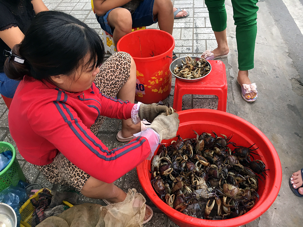 Nhiều người nghi ngờ loại cua xay sẵn có thể là cua miền Tây hoặc cua nhập khẩu từ Campuchia, Thái Lan. Ảnh minh hoạ