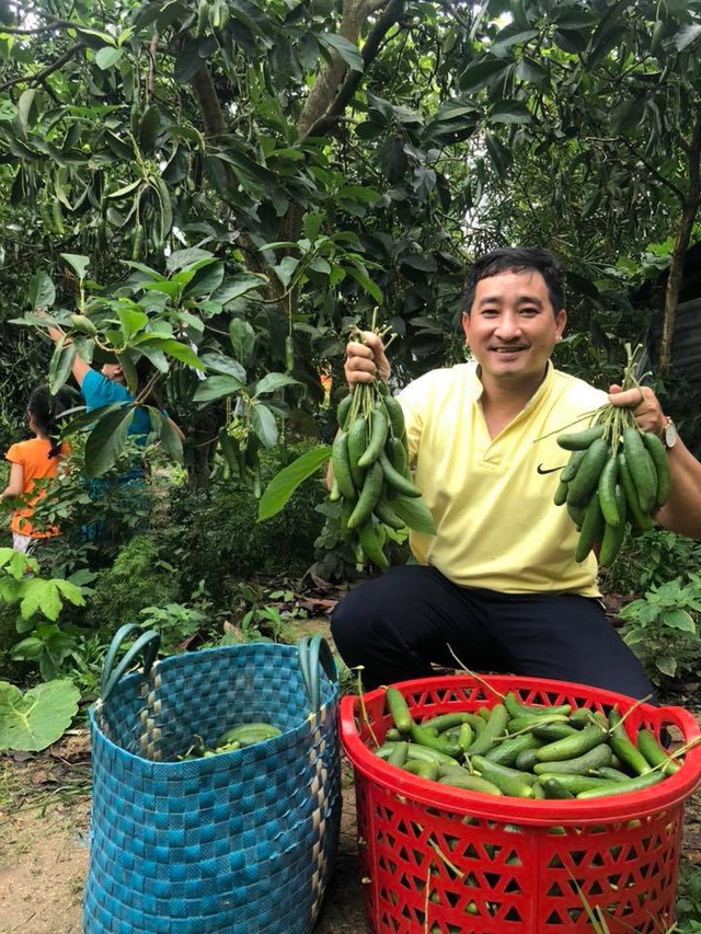 Với người đã gắn với cây bơ nhiều năm thì loại bơ này không ngon bằng bơ 034 và bơ Booth, năng suất lại thấp do quả nhỏ nên loại bơ đực không được nhân rộng. Ảnh: FB Với người đã gắn với cây bơ nhiều năm thì loại bơ này không ngon bằng bơ 034 và bơ Booth, năng suất lại thấp do quả nhỏ nên loại bơ đực không được nhân rộng. Ảnh: FB