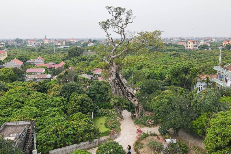 Hình thù độc đáo của chiếc cổng làng thôn Trần Phú nhanh chóng thu hút sự chú ý của cư dân mạng. Ảnh: FB Hình thù độc đáo của chiếc cổng làng thôn Trần Phú nhanh chóng thu hút sự chú ý của cư dân mạng. Ảnh: FB
