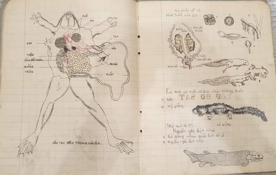 Bên cạnh sự tỉ mẩn, khéo léo, chủ nhân còn cẩn thận tô màu lên các hình vẽ để chân thực hơn. Ảnh: FB
