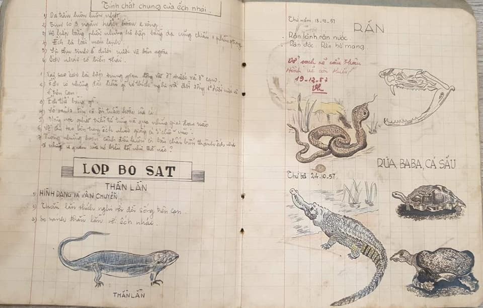 Với tài hội hoạ như này thì chủ nhân quyển vở không phải bác sĩ thì cũng là hoạ sĩ... chứ chẳng chơi.