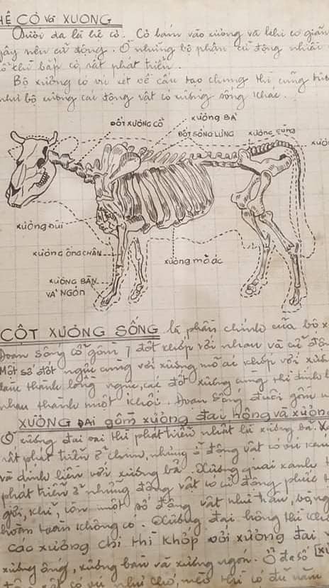 Quyển vở Sinh học lớp 7 cách đây 60 năm trước khiến bao thế hệ học sinh phải bái phục