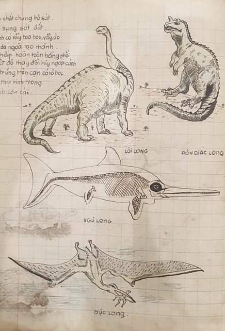 Nhiều người dự đoán chủ nhân quyển vở này chắc rất thành đạt vì với dấu ấn, bút tích này không phải người thường rồi. Ảnh: FB