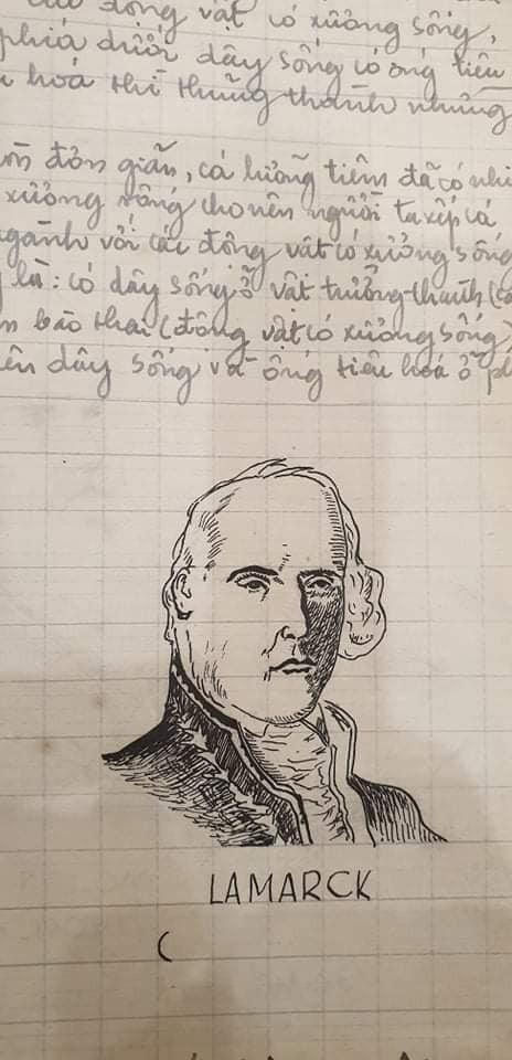 Những bức vẽ minh họa sắc nét như in mô tả các bài học ở sách giáo khoa khiến nhiều người kinh ngạc vì sự tỉ mỉ của người vẽ. Ảnh: FB