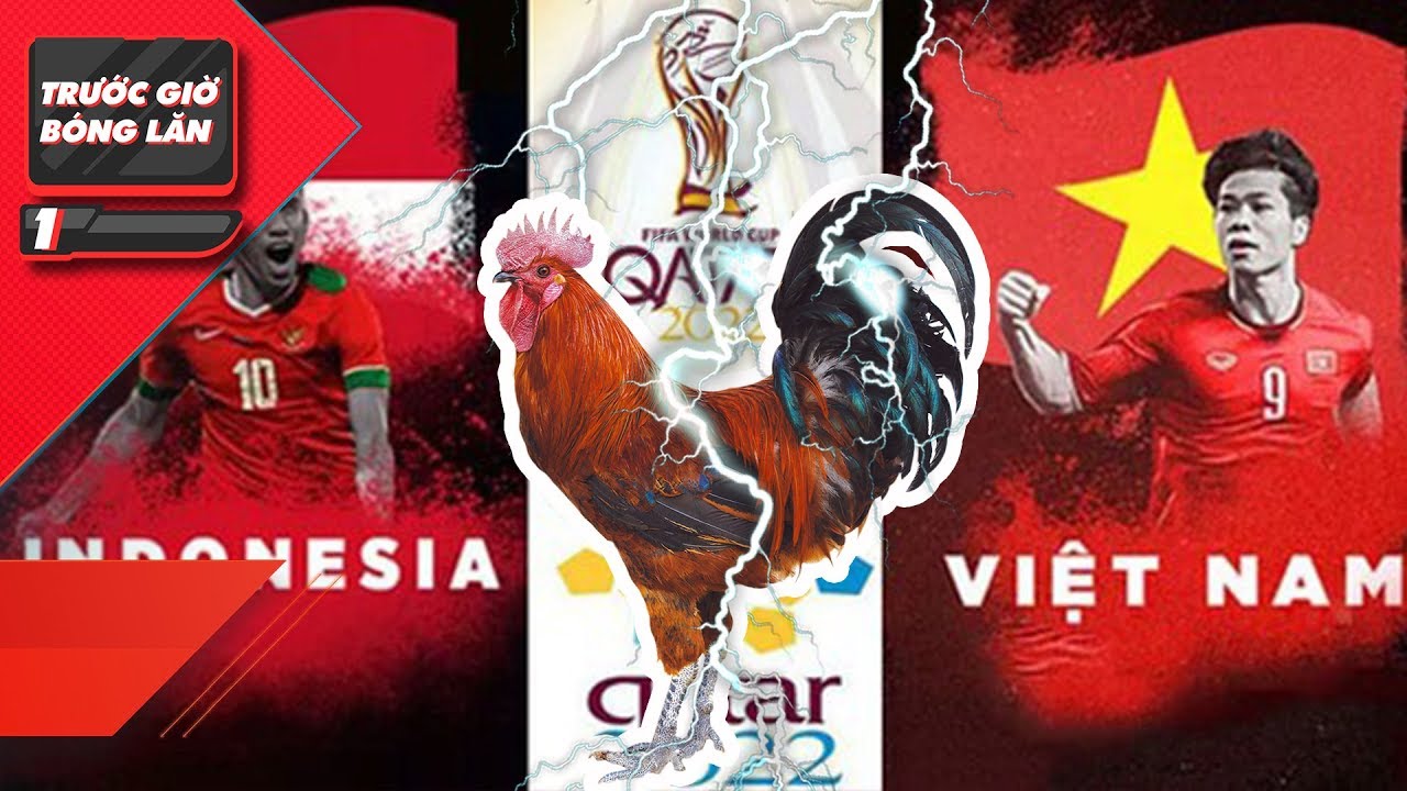 ĐT Việt Nam vs Malaysia: 'Gà tiên tri' trổ tài dự đoán kết quả trận đấu  1