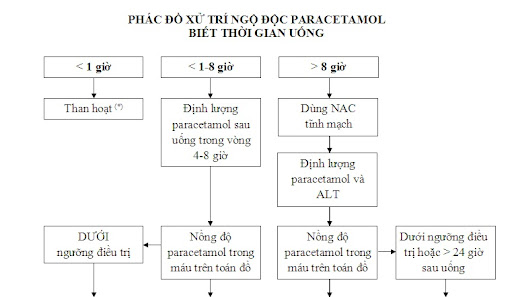 Để sử dụng paracetamol an toàn, TS.BS Nguyễn Trung Nguyên khuyến cáo: Với người trưởng thành mỗi ngày chỉ nên dùng 2 đến 3 viên paracetamol loại 500mg. Ảnh: BSCC Để sử dụng paracetamol an toàn, TS.BS Nguyễn Trung Nguyên khuyến cáo: Với người trưởng thành mỗi ngày chỉ nên dùng 2 đến 3 viên paracetamol loại 500mg. Ảnh: BSCC