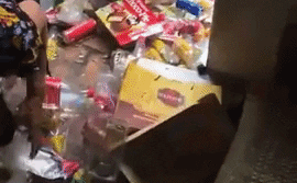 Căn phòng trọ của nam sinh dọn đến 5 bao tải lớn vẫn chưa hết khiến ai nhìn cũng sốc