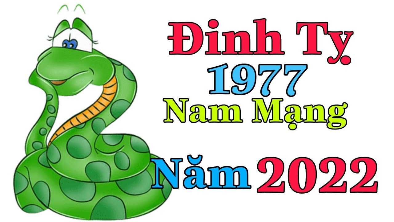 Xem tuổi xông đất Tết Nguyên đán Nhâm Dần cho gia chủ sinh năm Đinh Tỵ 1977 - Ảnh 1 Xem tuổi xông đất Tết Nguyên đán Nhâm Dần cho gia chủ sinh năm Đinh Tỵ 1977 - Ảnh 1