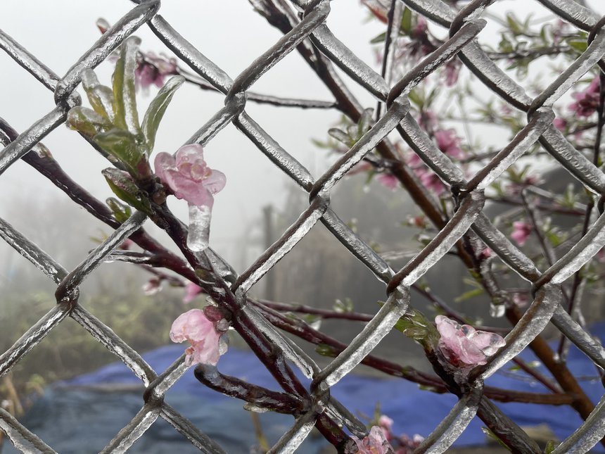 Miền Bắc trải qua đợt rét hiếm gặp trong 40 năm, băng giá tiếp tục xuất hiện ở vùng cao - Ảnh 1 Miền Bắc trải qua đợt rét hiếm gặp trong 40 năm, băng giá tiếp tục xuất hiện ở vùng cao - Ảnh 1