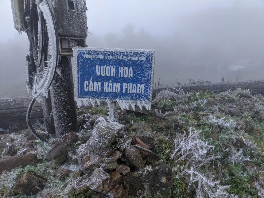 Với mức nhiệt dưới 0 độ C, băng giá tiếp tục phủ trắng tại đỉnh Mẫu Sơn (Lạng Sơn) sáng 21/2. Ảnh: FB