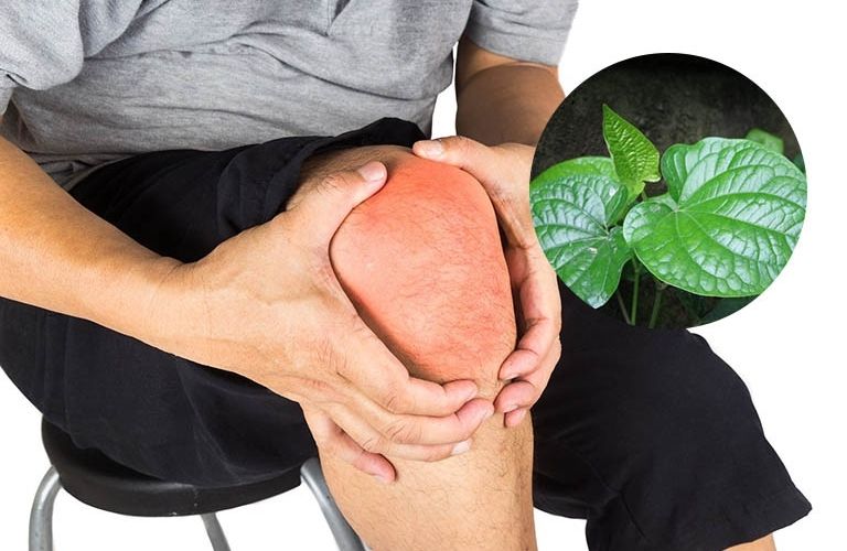 Người dùng chỉ nên dùng một lượng vừa phải, thông thường trung bình chỉ nên dùng từ 50 đến 100g. Người dùng chỉ nên dùng một lượng vừa phải, thông thường trung bình chỉ nên dùng từ 50 đến 100g.