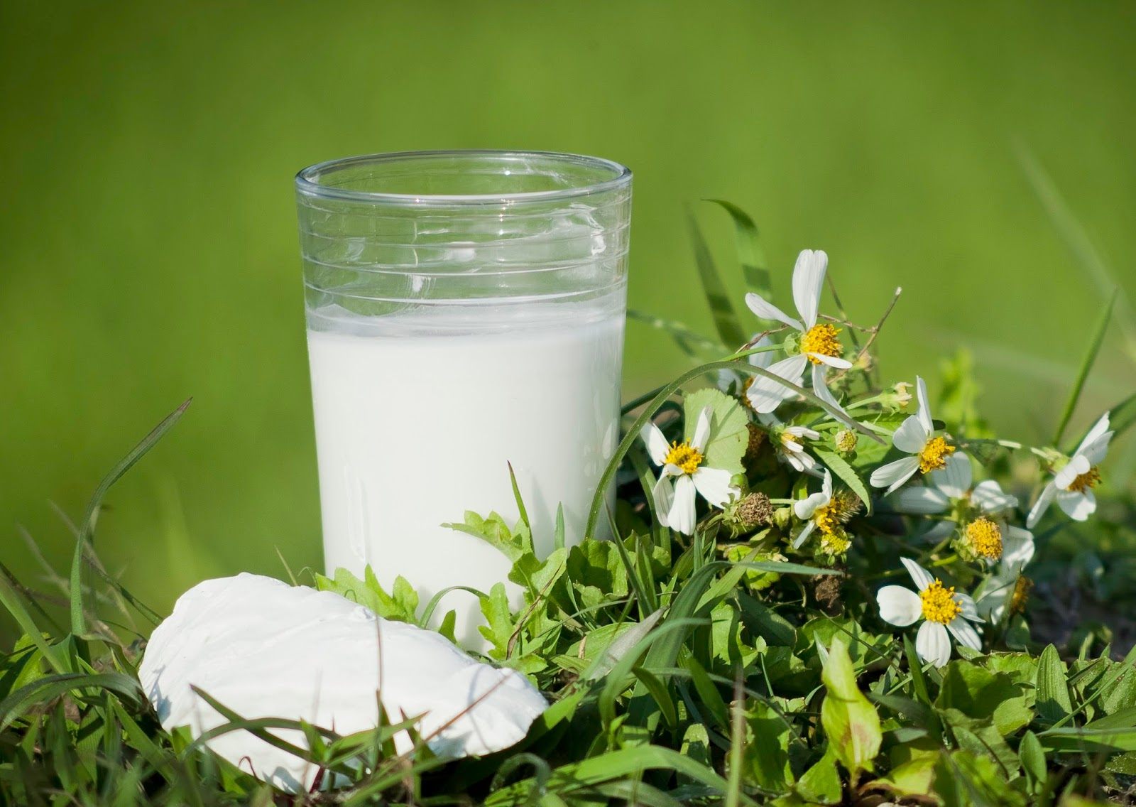 Kể cả những người có tình trạng sức khỏe bình thường thì mỗi ngày chỉ nên uống quá 1 ly nước sắn dây. Ảnh minh hoạ