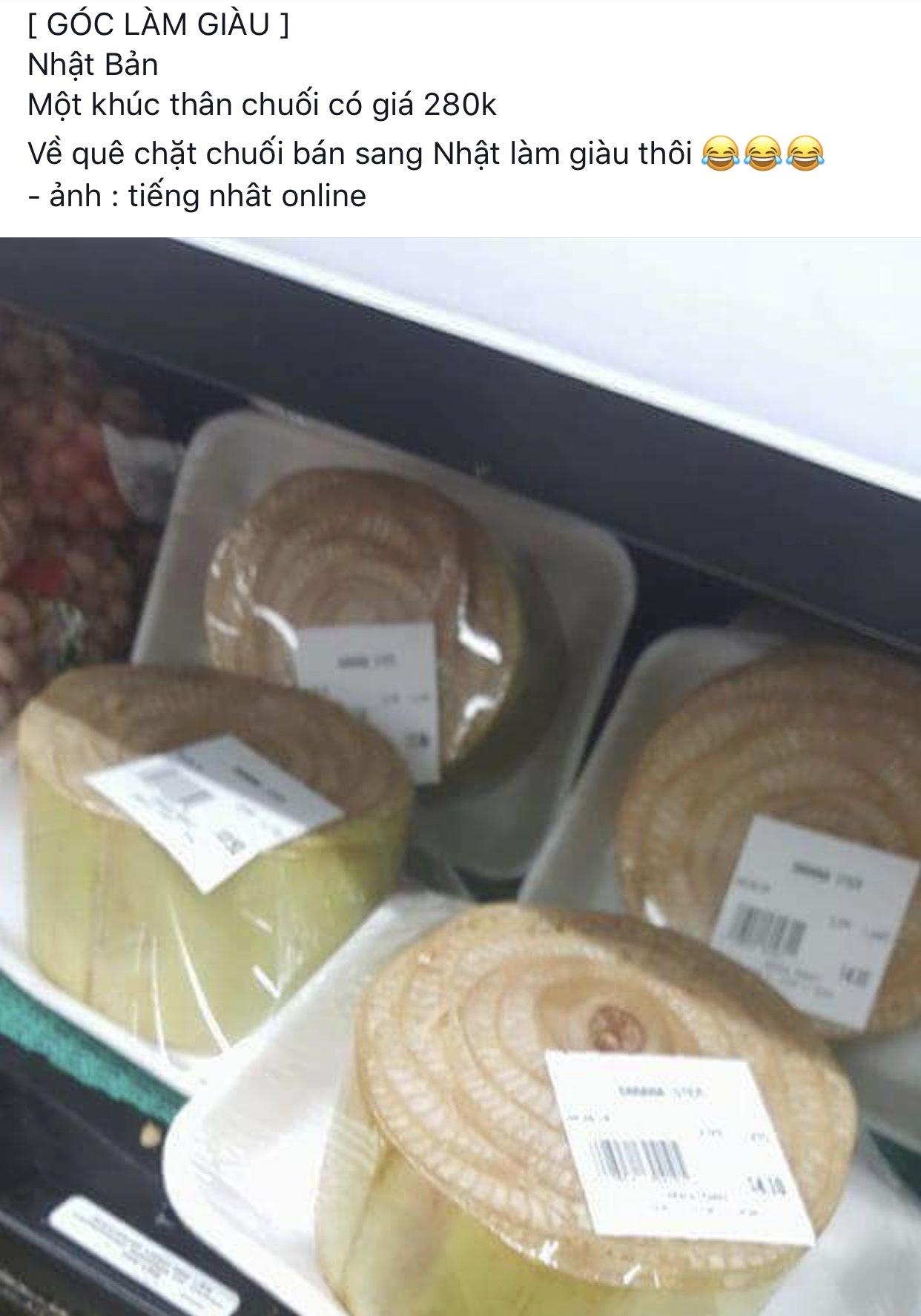 Những thứ cho không ai lấy ở Việt Nam nhưng vào siêu thị Nhật lại thành hàng hot - Ảnh 3