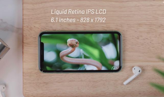 Chất lượng hiển thị của iPhone 11 chưa bao giờ khiến người dùng thất vọng Chất lượng hiển thị của iPhone 11 chưa bao giờ khiến người dùng thất vọng
