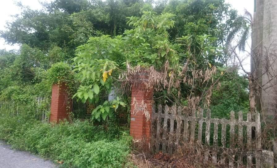 Căn nhà cũ với nhiều kỷ niệm của gia đình Bùi Hoàng Việt Anh. Ảnh: Internet