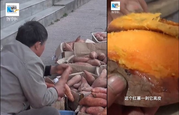 Người cha 17 năm bán khoai mua nhà cho con làm dậy sóng dư luận Trung Quốc