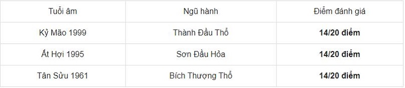 Xem tuổi xông đất đẹp nhất, tốt nhất cho gia chủ năm 2021 tuổi Đinh Mão 1987 - Ảnh 1