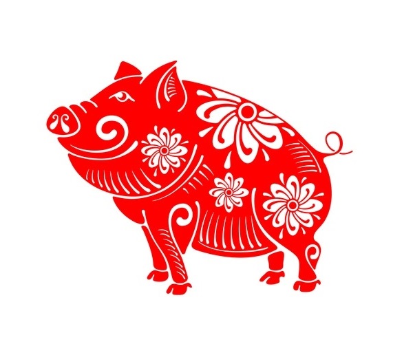 Chọn tuổi tốt xông đất năm mới 2021 cho gia chủ tuổi Đinh Hợi 1947 - Ảnh 1