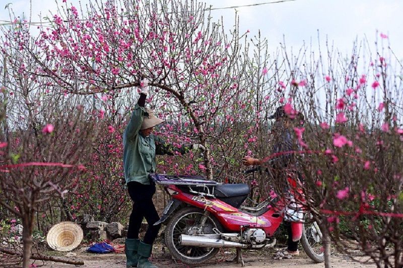 Bản tin dự báo thời tiết đêm nay, ngày mai 4-5/2: Sương mù giăng lối, có nơi có mưa nhỏ - Ảnh 1