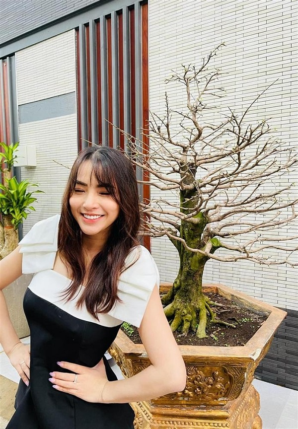 Hải Băng bị trộm cây mai trăm triệu