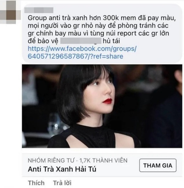 Mới đây, trên mạng xã hội xôn xao khi admin của một group anti Hải Tú thông báo group đã chính thức bị Sơn Tùng M-TP thuê người nhúng tay cho sập.