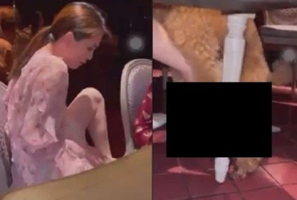 Đầu năm Ngọc Trinh đã có hành động phản cảm đỉnh điểm, khoe clip cho chó 'giải tỏa' lên chân. Đầu năm Ngọc Trinh đã có hành động phản cảm đỉnh điểm, khoe clip cho chó 'giải tỏa' lên chân.