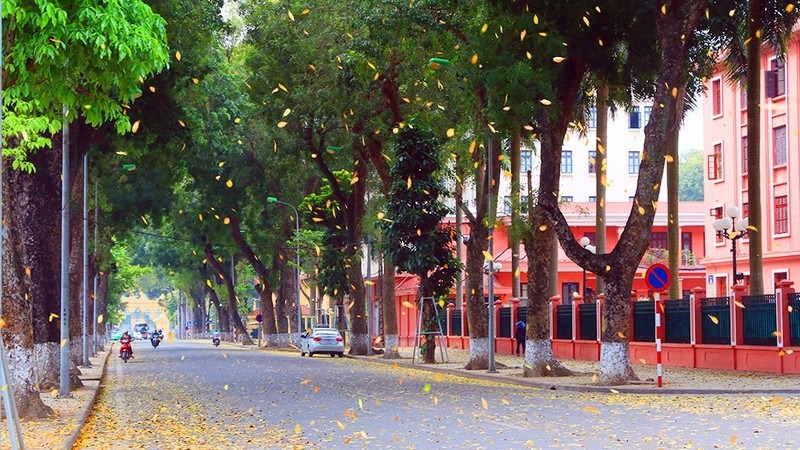 Bản tin dự báo thời tiết đêm nay, ngày mai 24-25/2: Có mưa vài nơi, sương mù vào sáng sớm