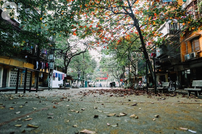 Dự báo xu hướng thời tiết 10 ngày (24/2-5/3): Cuối tháng 2 đầu tháng 3 trời chuyển rét, mưa rào rải rác