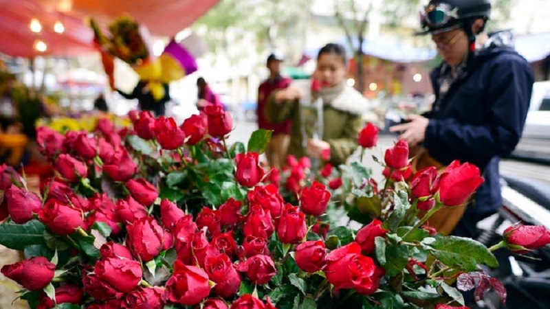 Bản tin dự báo thời tiết ngày Quốc tế Phụ nữ 8/3: Hà Nội nhiều sương mù, miền Đông nắng nóng Bản tin dự báo thời tiết ngày Quốc tế Phụ nữ 8/3: Hà Nội nhiều sương mù, miền Đông nắng nóng