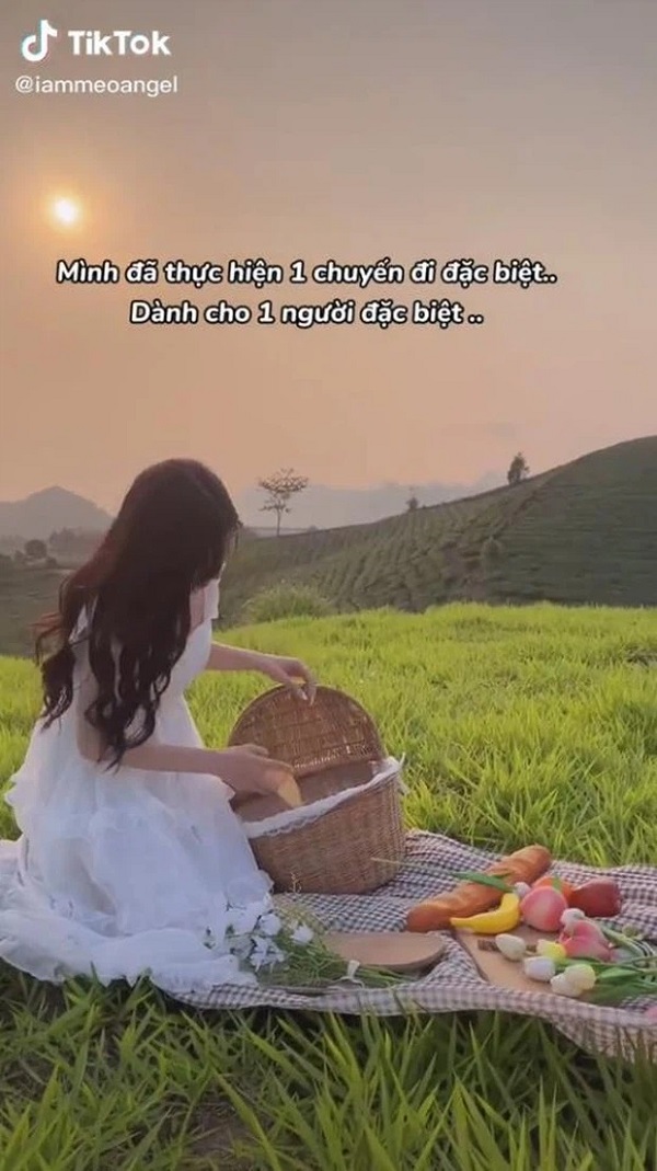Mèo Sao Hỏa bị 'bóc phốt' thiếu ý thức trên xe ô tô, con người thật nàng hotgirl được phơi bày (ảnh chụp màn hình) Mèo Sao Hỏa bị 'bóc phốt' thiếu ý thức trên xe ô tô, con người thật nàng hotgirl được phơi bày (ảnh chụp màn hình)