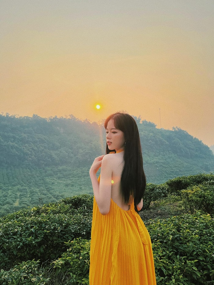 Mèo Sao Hỏa khoe vẻ đẹp tựa công chúa lạc trong rừng ở phố núi Mộc Châu  - Ảnh 1