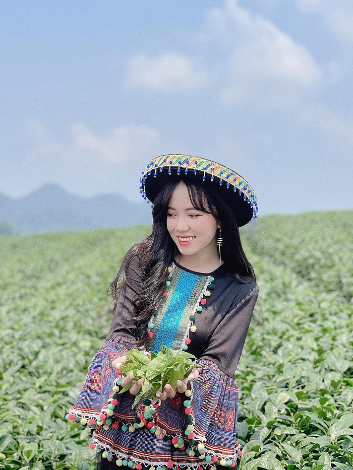 Mèo Sao Hỏa khoe vẻ đẹp tựa công chúa lạc trong rừng ở phố núi Mộc Châu  - Ảnh 2