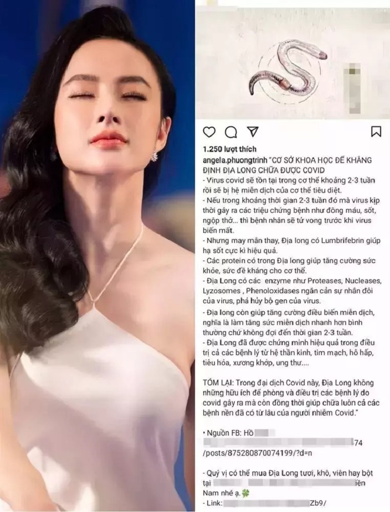 Bài đăng của Angela Phương Trinh PR về Địa Long (ảnh chụp màn hình) Bài đăng của Angela Phương Trinh PR về Địa Long (ảnh chụp màn hình)