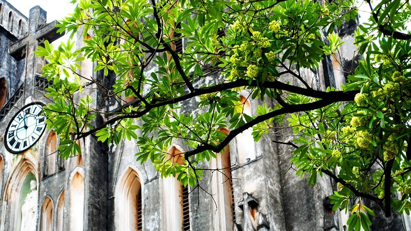 Dự báo thời tiết 3/9: Trời nhiều mây âm u, nhiệt độ dễ chịu 33 độ C