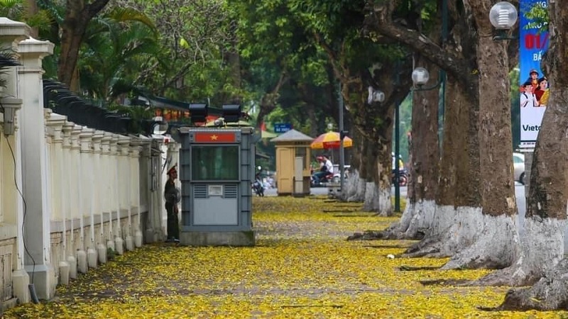 Dự báo thời tiết 8/9: Hà Nội mưa rất to và rải rác có dông Dự báo thời tiết 8/9: Hà Nội mưa rất to và rải rác có dông