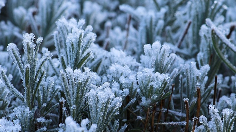 Dự báo Miền Bắc năm nay đón mùa đông sớm (Ảnh minh họa). Ảnh Internet