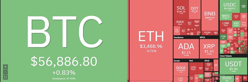 Giá bitcoin hôm nay 12/10: Sắp cán mốc 57.000 USD, thị trường đồng loạt giảm giá 2