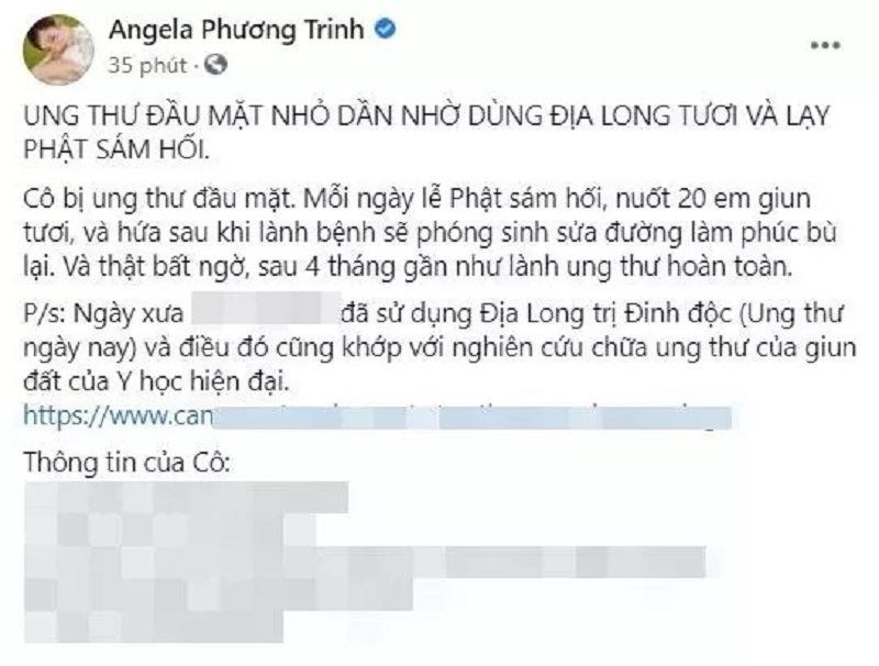 Angela Phương Trinh bị phạt chưa chừa, thách thức dư luận lại tuyên truyền Địa long 3