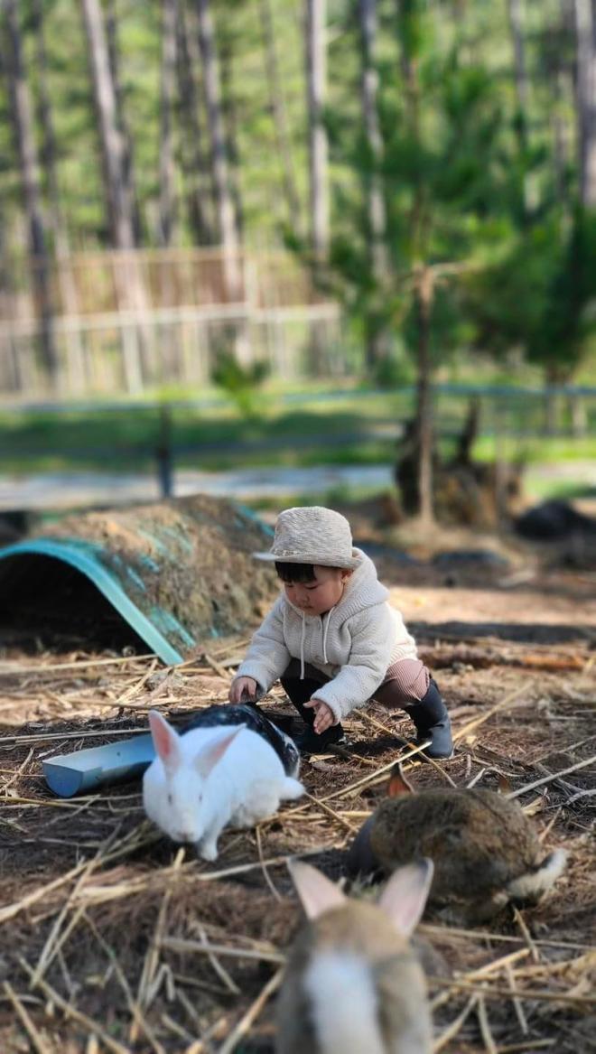 Nhóc tỳ tỏ vẻ hào hứng khi được hoà mình với thiên nhiên (Ảnh: FBNV) Nhóc tỳ tỏ vẻ hào hứng khi được hoà mình với thiên nhiên (Ảnh: FBNV)