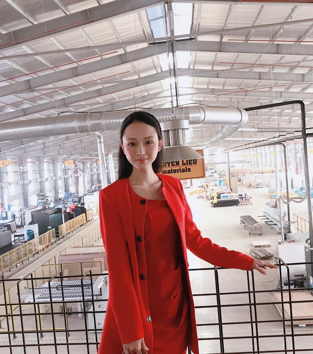 Hiện tại, Trương Hồ Phương Nga đang đảm nhận vị trí Giám đốc cho 1 công ty Thiết kế nội thất (Ảnh: Internet)
